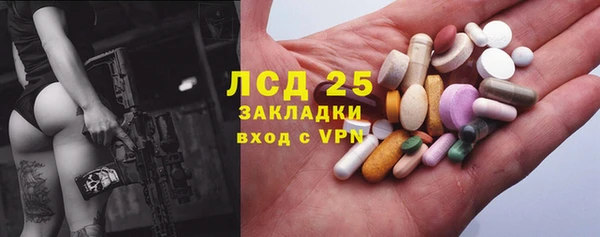 прущие грибы Алзамай