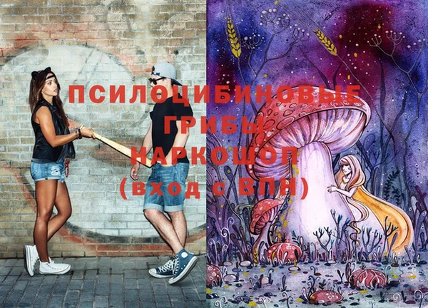 прущие грибы Алзамай