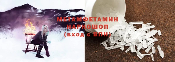 прущие грибы Алзамай